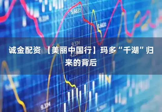 诚金配资 【美丽中国行】玛多“千湖”归来的背后