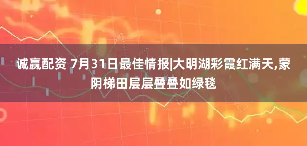 诚赢配资 7月31日最佳情报|大明湖彩霞红满天,蒙阴梯田层层叠叠如绿毯